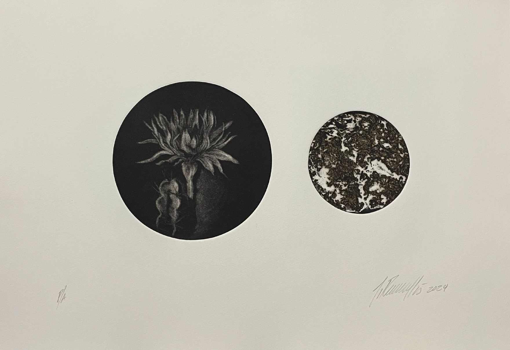 Suite (Variaciones IV)